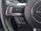 2019 Ford Mustang BULLITT