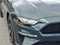 2019 Ford Mustang BULLITT